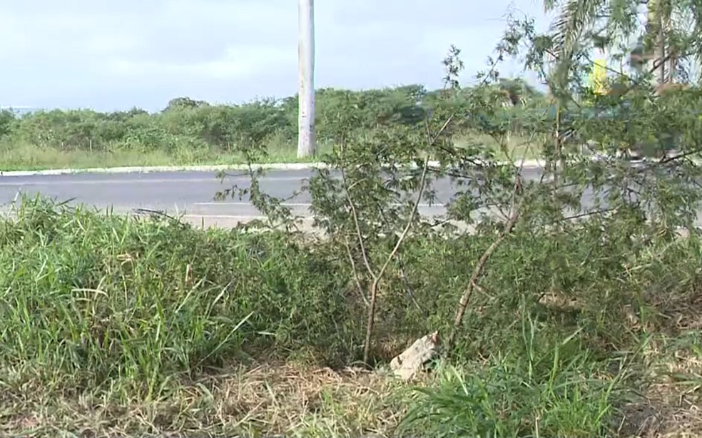Garoto foi encontrado em buraco às margens da BR-116, na cidade de Santo Estêvão — Foto: Reprodução/TV Subaé