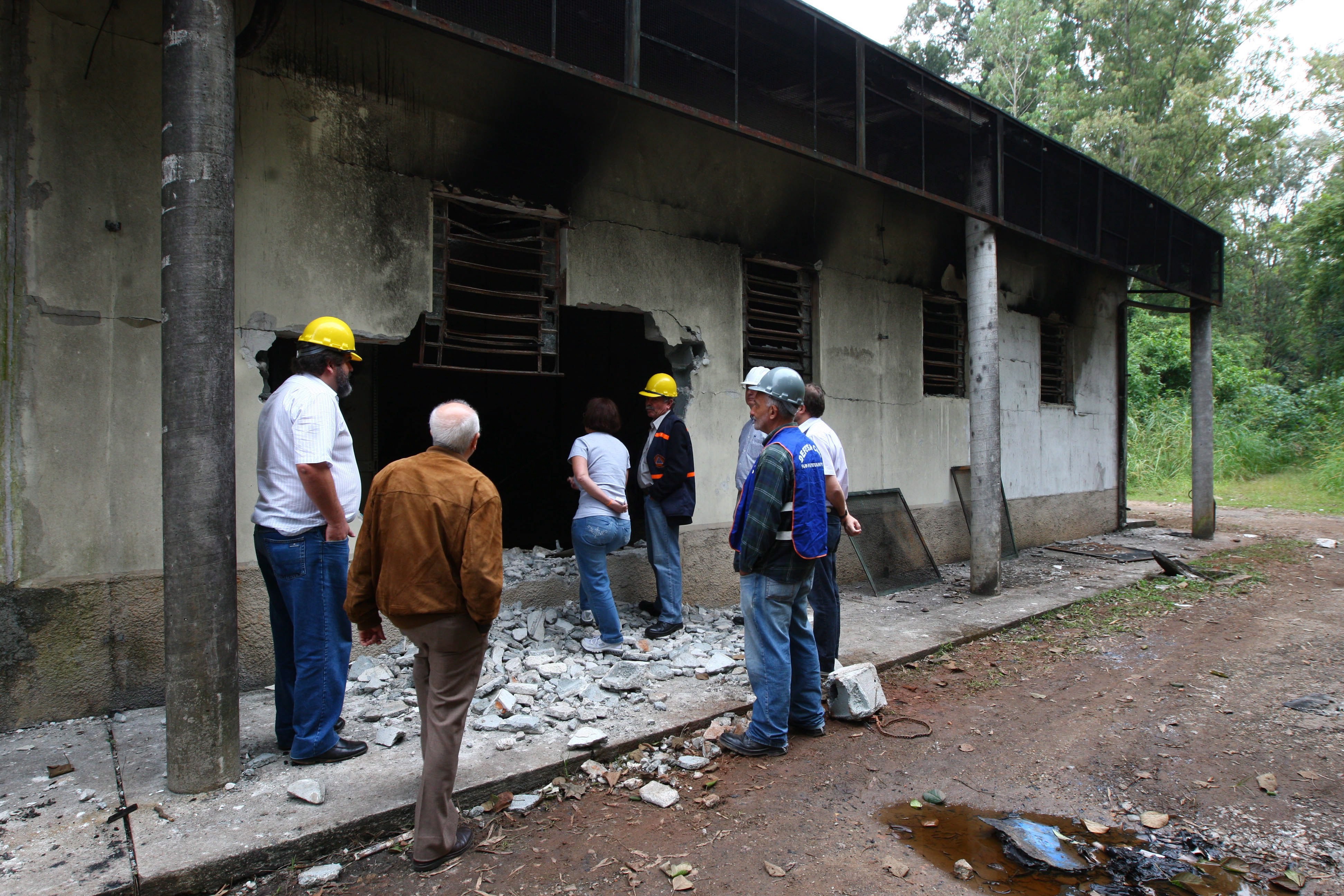 Técnicos fazem vistoria no prédio do Butantan que abrigava coleção científica 
