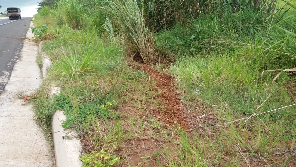 Carros aquaplanaram na Rodovia Assis Chateaubriand — Foto: Wellington Roberto/G1