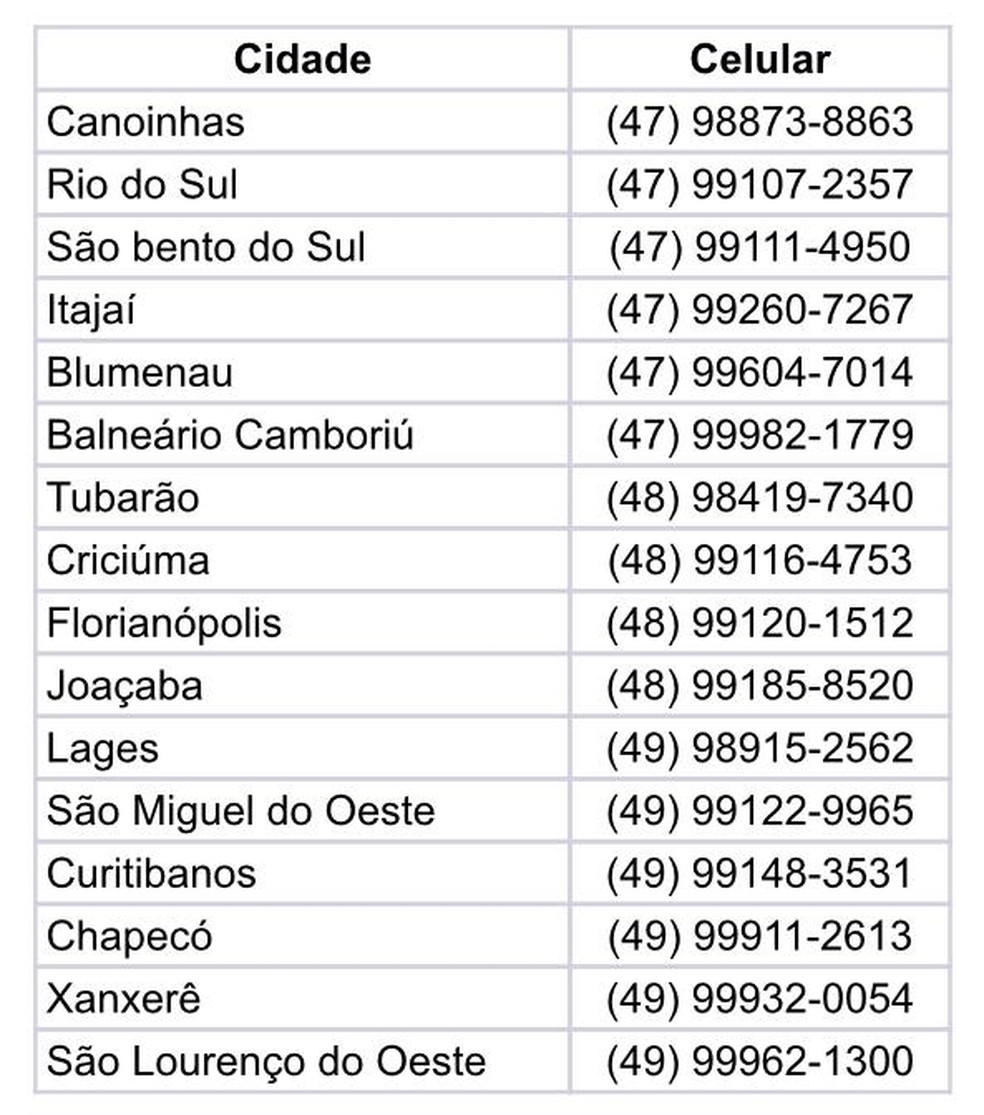 Telefones celulares das centrais do Corpo de Bombeiros de Santa Catarina — Foto: CBSC/ Divulgação