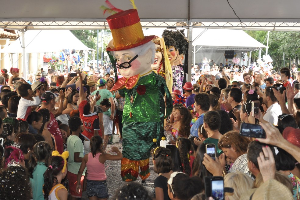 Carnaval em Poços de Caldas (MG) — Foto: Arquivo G1