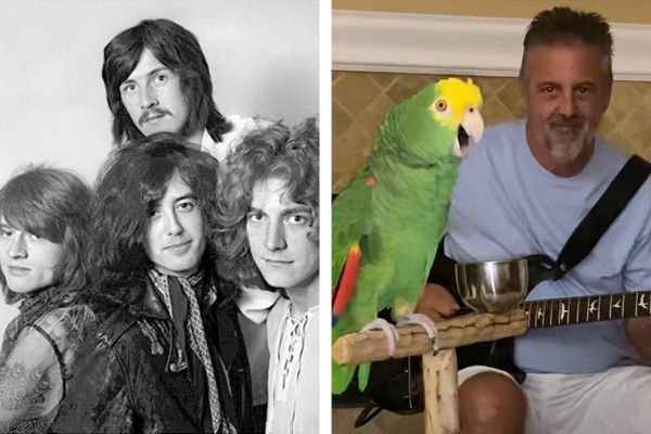 A banda Led Zeppelin e o papagaio Tico com seu tutor, Frank Maglio (Foto: Divulgação; reprodução)