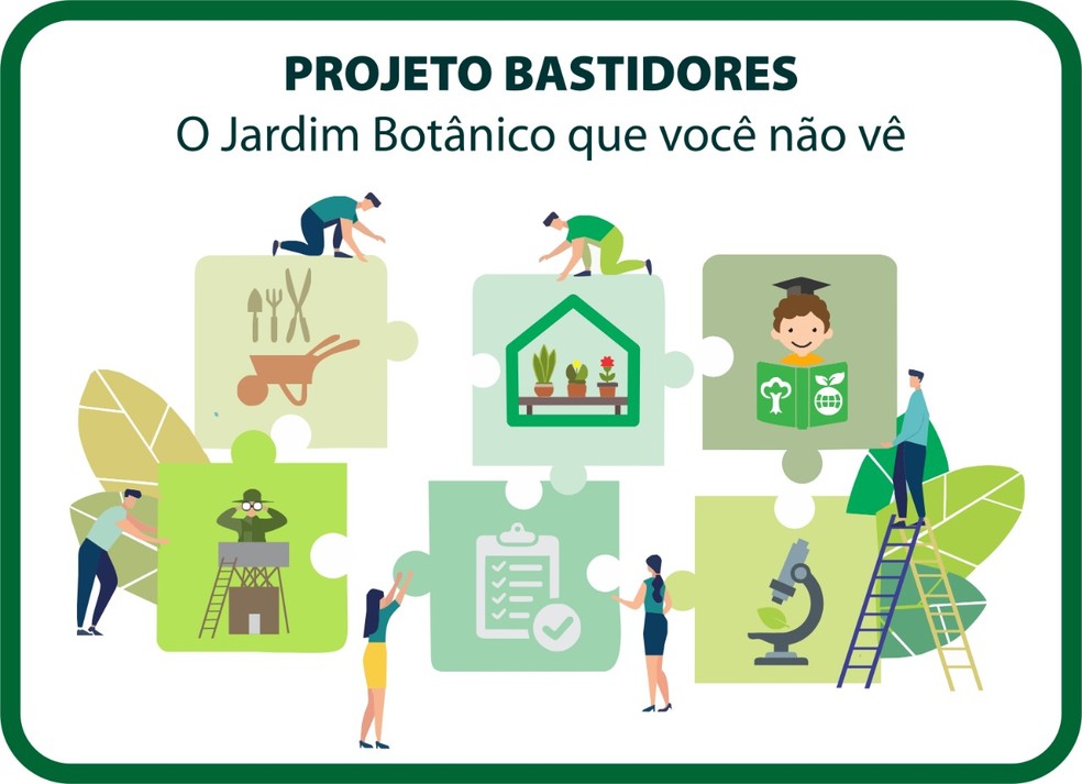 Jardim Botanico De Bauru Desenvolve Projeto Online Com Curiosidades Locais Durante Quarentena Bauru E Marilia G1