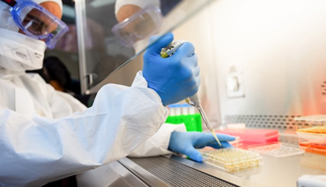 Estudo da Novavax para vacina contra covid-19: imunizante obtém endosso de consultores da agência sanitária dos Estados Unidos — Foto: Reprodução