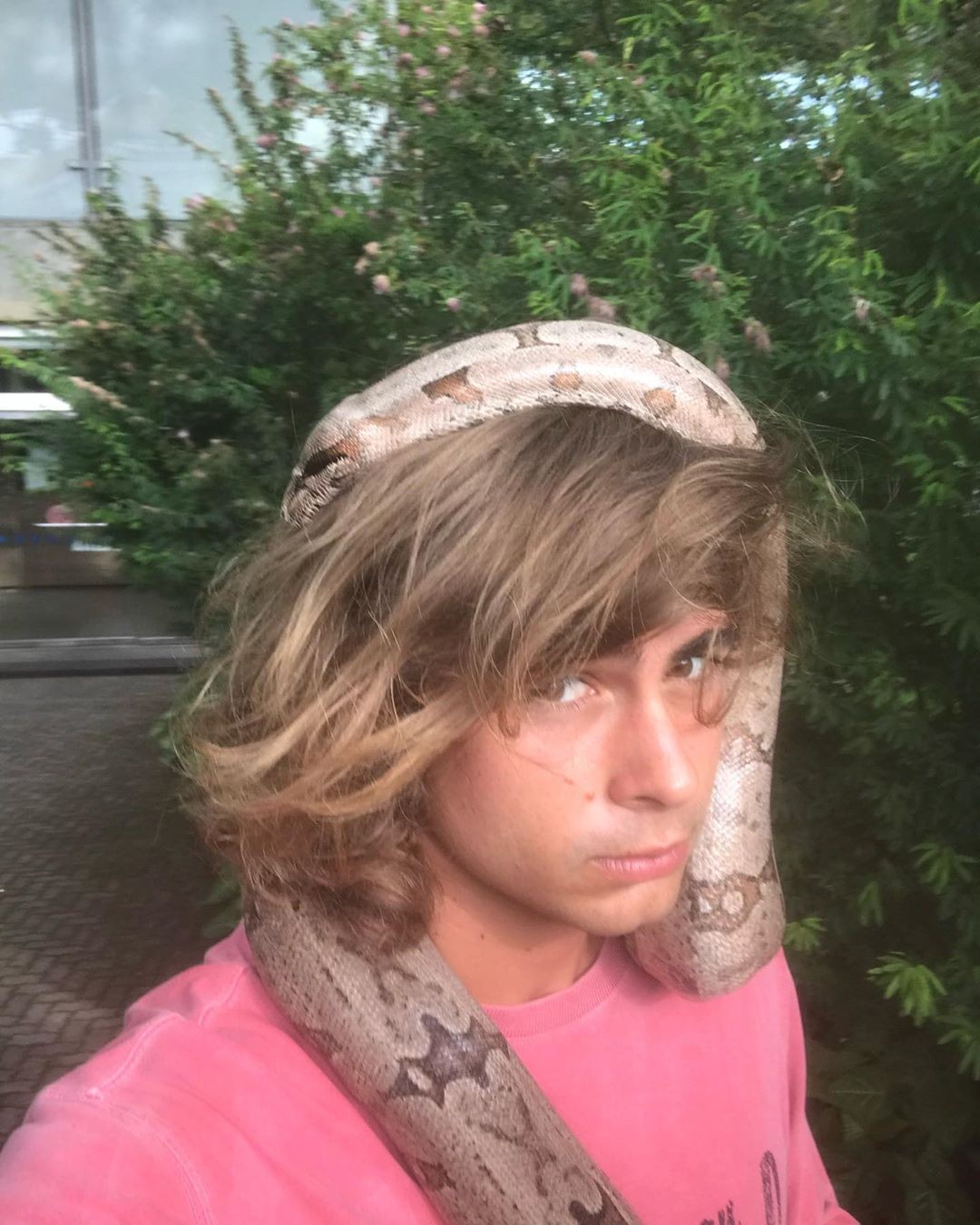 Rafael Vitti posa com cobra (Foto: Reprodução/Instagram)
