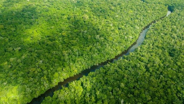 A Noruega é responsável por mais de 90% das doações do Fundo Amazônia (Foto: Larissa Nogueira / Via BBC News Brasil)