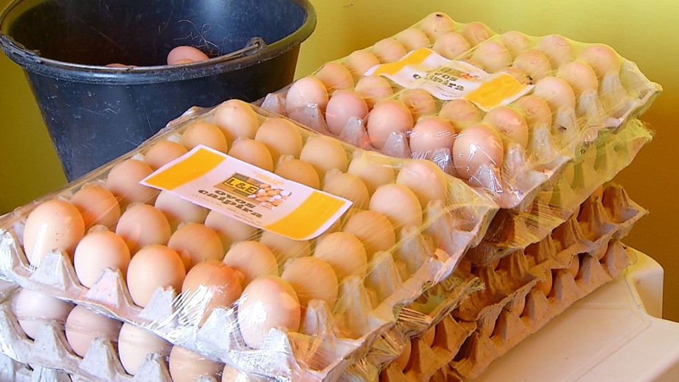 Ovos produzidos no negócio de Rodrigo — Foto: Hugo Andrade/Inter TV Costa Branca