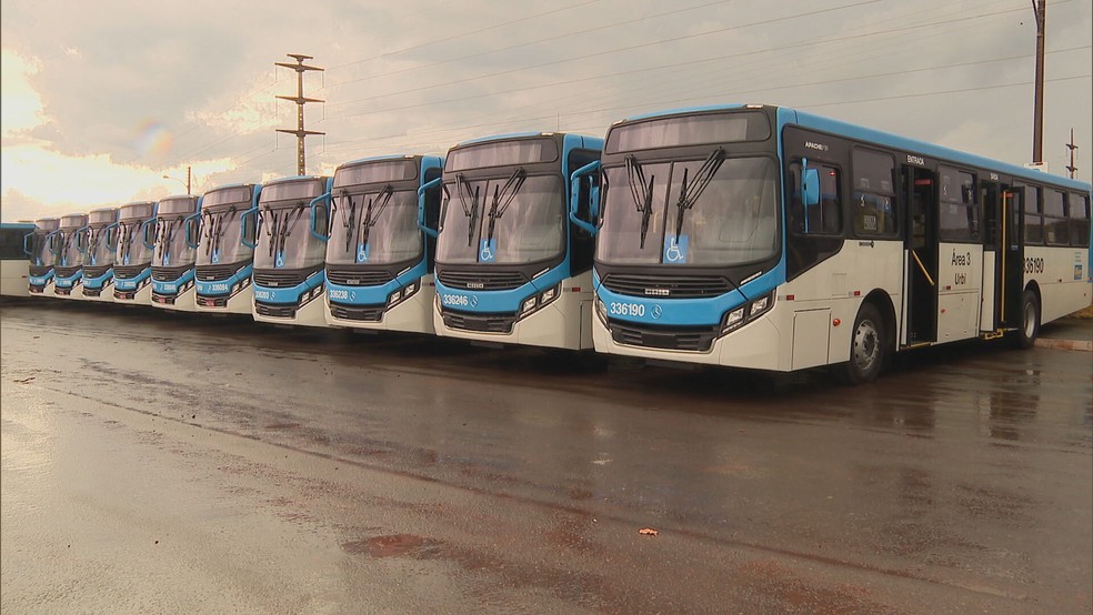 Ônibus do transporte público de Brasília com portas do lado esquerdo — Foto: TV Globo/Reprodução