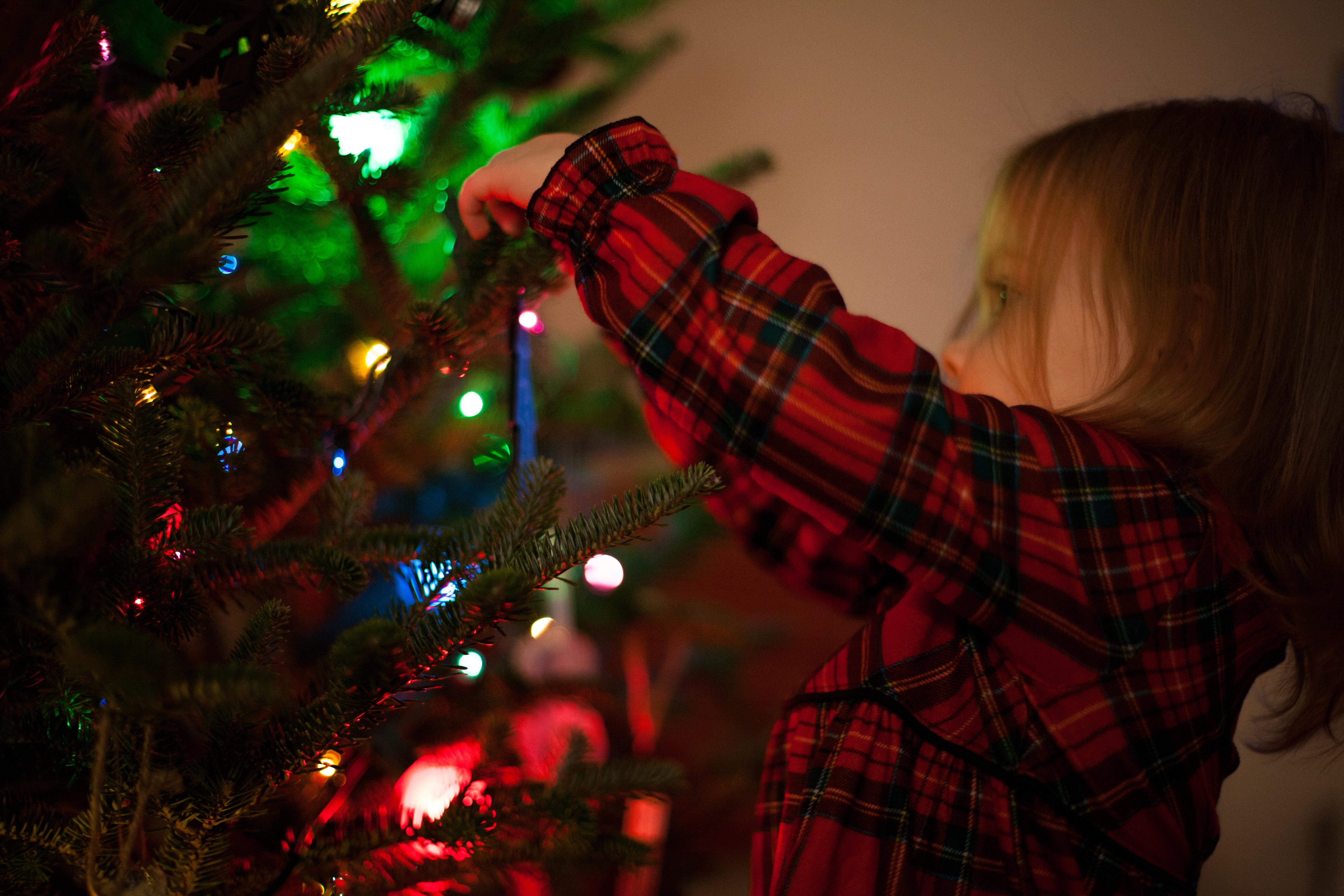 Crianças podem ajudar a montar a árvore de Natal (Foto: Josh Willink/Pexels)