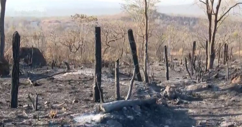 Incêndio na Serra da Bandeira é extinto em alguns pontos; bombeiros seguem em combate a focos — Foto: Reprodução/TV Bahia