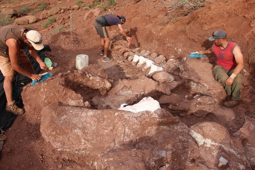 Equipe de arqueólogos trabalha em escavações do titanossauro Ninjatitan zapatai (Foto: Divulgação/CONICET/Gentileza investi)