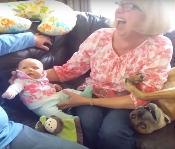 Cão disputa a atenção da dona com a chegada do novo membro da família (Foto: Reprodução Youtube)