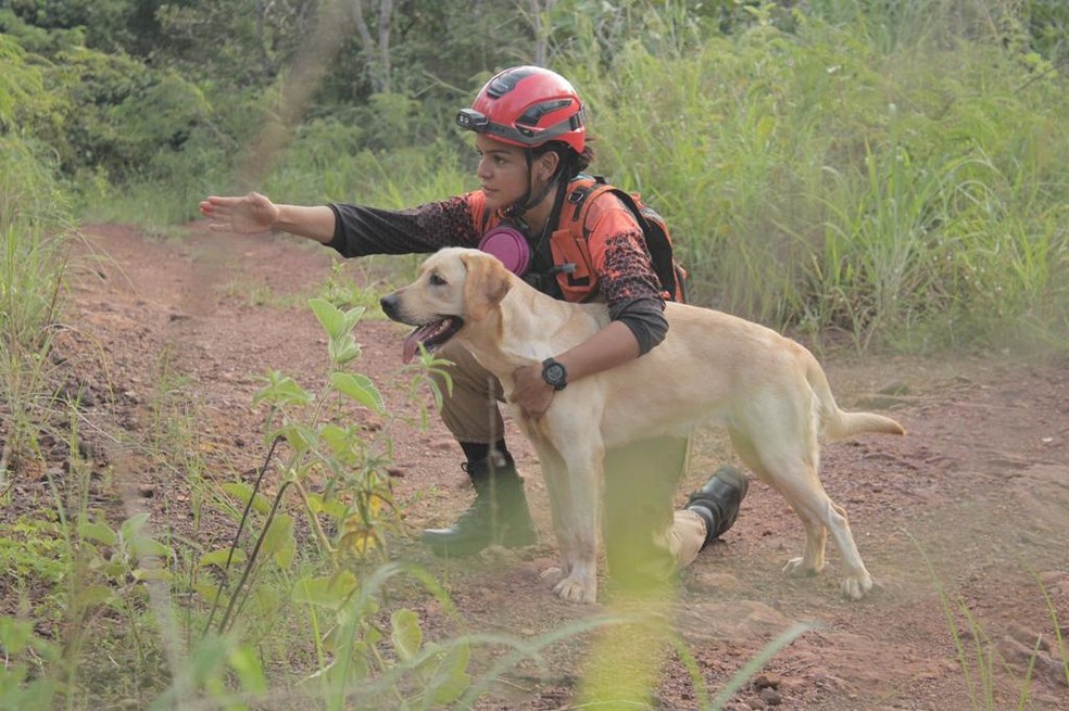 Sargento Daiane e Maya em treinamento em MT — Foto: Corpo de Bombeiros
