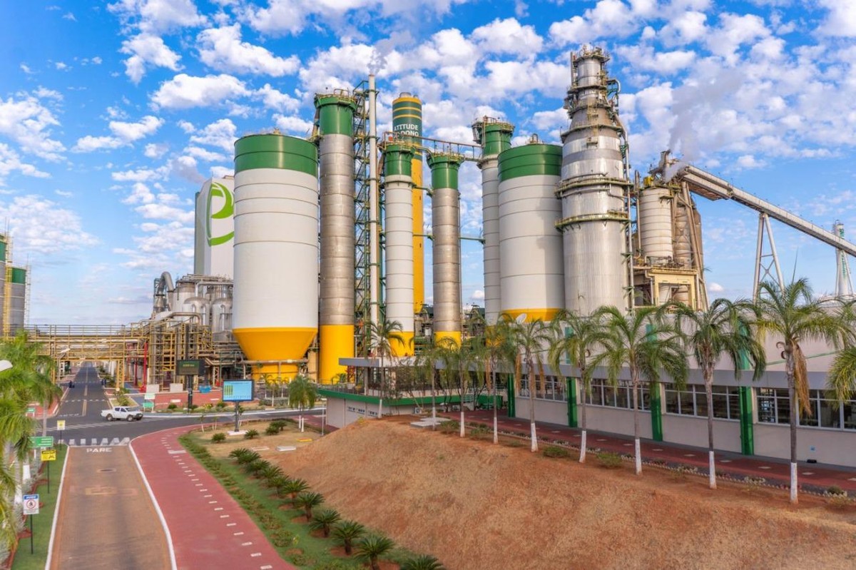 EXCLUSIVO Na briga pela Eldorado, Paper Excellence ganha mais uma