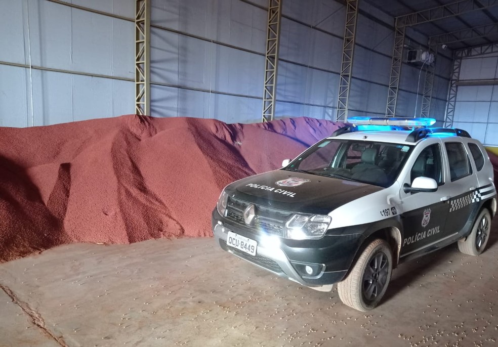 Produto estava armazenada em galpão de fazenda em MT — Foto: Polícia Civil