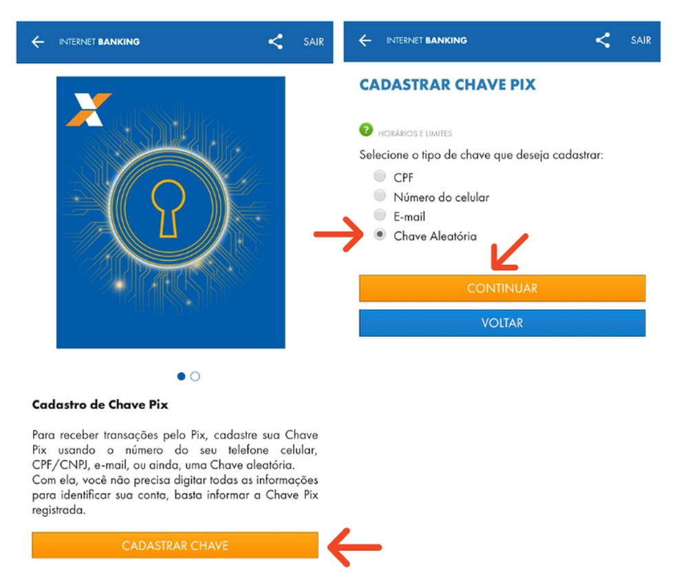 Cadastrar chave Pix no aplicativo da Caixa &mdash; Foto: Reprodu&ccedil;&atilde;o/L&iacute;via D&acirc;maso