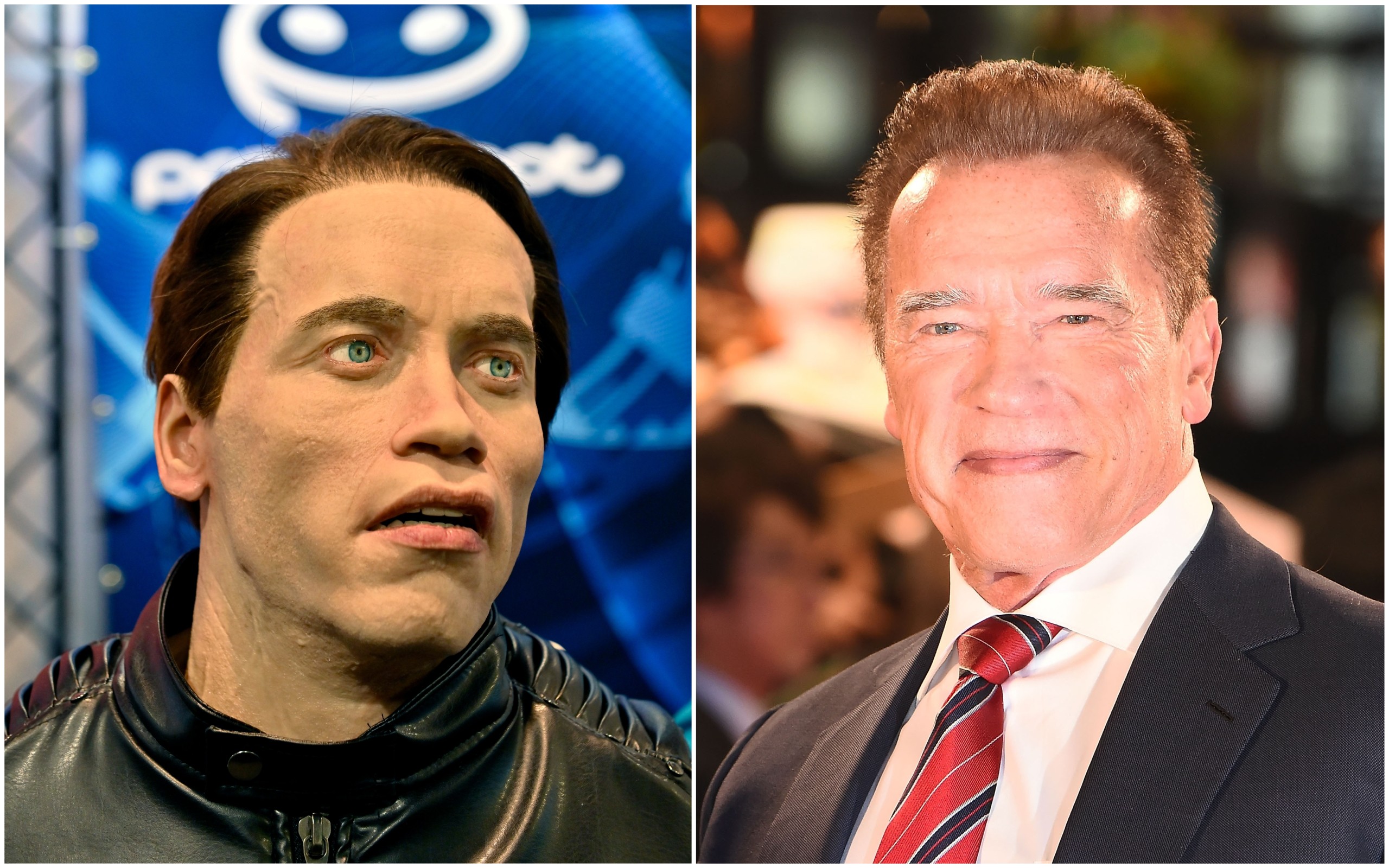 The Robo C, da Promobot, e Arnold Schwarzenegger (Foto: Getty Images)