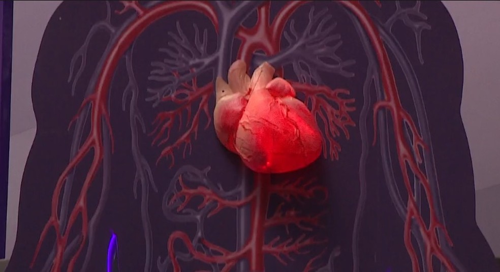 Diretriz de Prevenção Cardiovascular vai citar a importância da espiritualidade para evitar doenças  — Foto: Reprodução/RBS TV