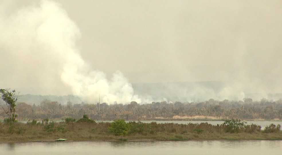 Incêndio devasta a estação experimental em Itirapina — Foto: Reprodução/EPTV