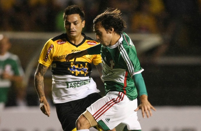 Valdívia e Fábio Ferreira Palmeiras x Criciúma (Foto: Cesar Greco / Ag. Estado)