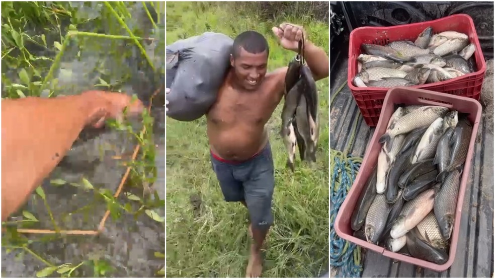 Pescadores pegam peixe na mão e coletam fartura após chuva alagar cidade de Iguatu, no Ceará — Foto: TV Verdes Mares/Reprodução