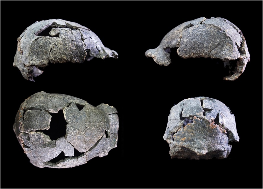 Crânio de 1,5 milhão de anos DAN5/P1, encontrado no sítio de Gona, na Etiópia