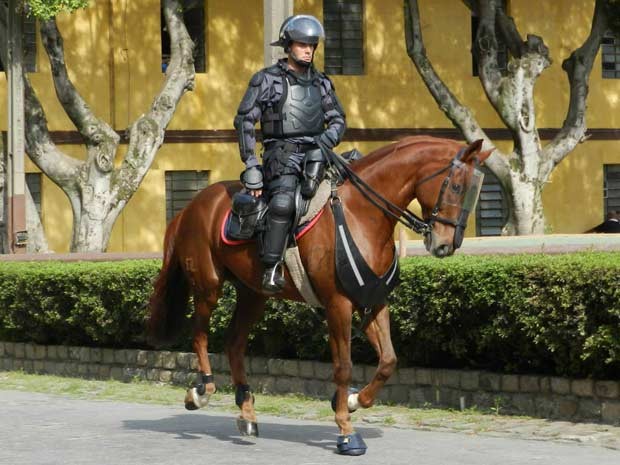 EQUIPAMENTOS PARA CAVALARIA