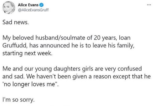 O post da atriz Alice Evans anunciando o término de seu casamento com Ioan Gruffudd (Foto: Twitter)