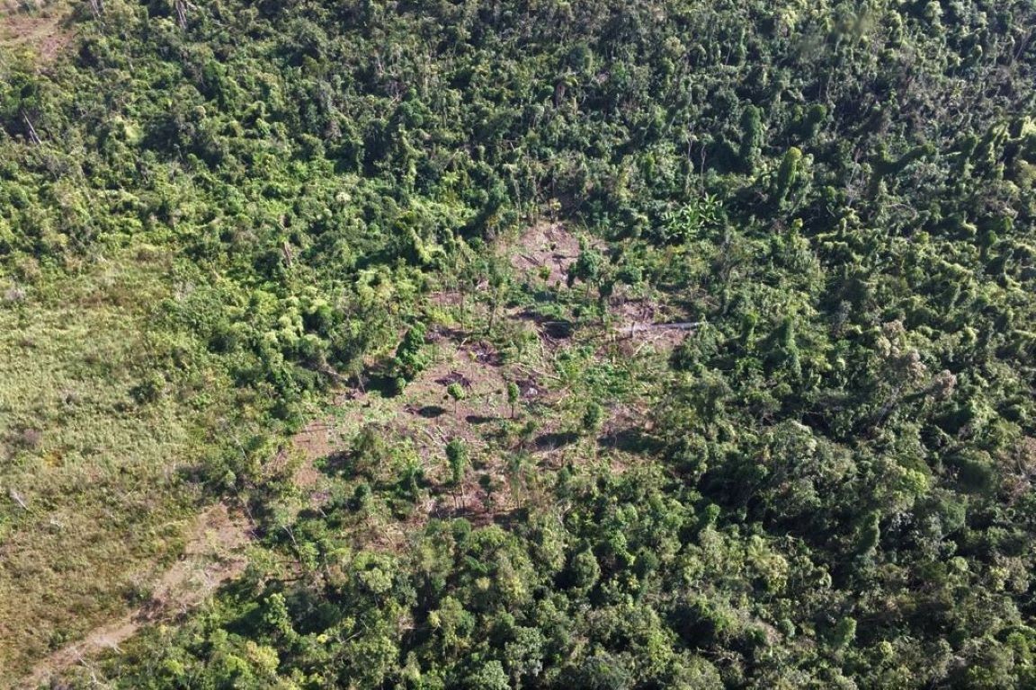 O desmatamento da Mata Atlântica entre 2019 e 2020 foi pior na cidade de Iporanga (Foto: Eduardo Rosa/SOS Mata Atlântica)
