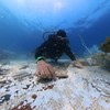 Mosaico romano é restaurado no mar perto de cidade submersa na Itália