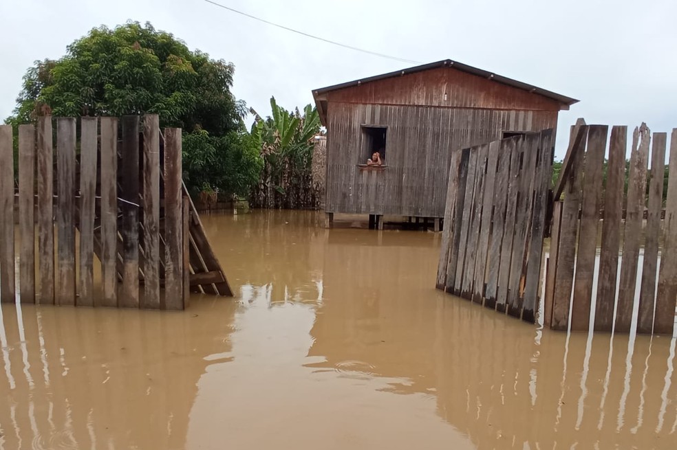 Moradores de Santa Rosa do Purus enfrentam uma nova enchente do Rio Purus — Foto: Asscom/Prefeitura de Santa Rosa do Purus