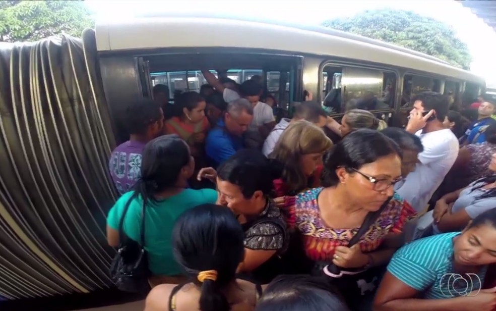 Mais de 500 crimes foram registrados em ônibus em janeiro em Goiás (Foto: TV Anhanguera/Reprodução)