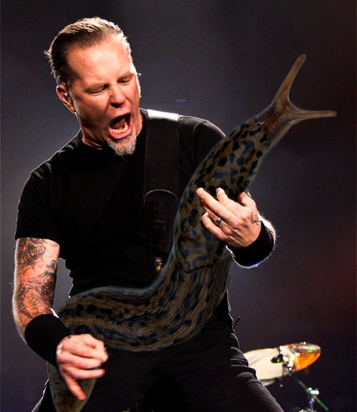 'Slug Solos' e Metallica! (Foto: Reprodução)