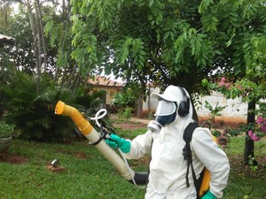 Em Paraguaçu Paulista foi realizado serviço de nebulização  (Foto: Divulgação/ Valter Fortuna )