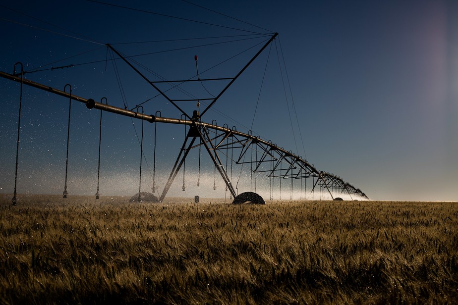 Irrigação de plantação de trigo em Brasília (DF)