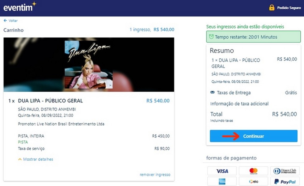 Resumo de compra do ingresso para tour Future Nostalgia, da Dua Lipa, em São Paulo — Foto: Reprodução/Raquel Freire