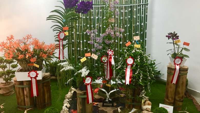 99ª Exposição de Orquídeas reúne 1000 flores raras e colecionadores de todo  o Brasil - Revista Globo Rural | Cidades Verdes