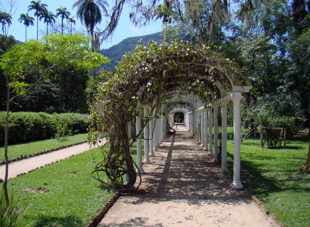 O conjunto de coleções biológicas do Jardim Botânico do Rio de Janeiro conta com mais de 850 mil amostras (Foto: Flickr / Rodrigo Soldon / CreativeCommons)