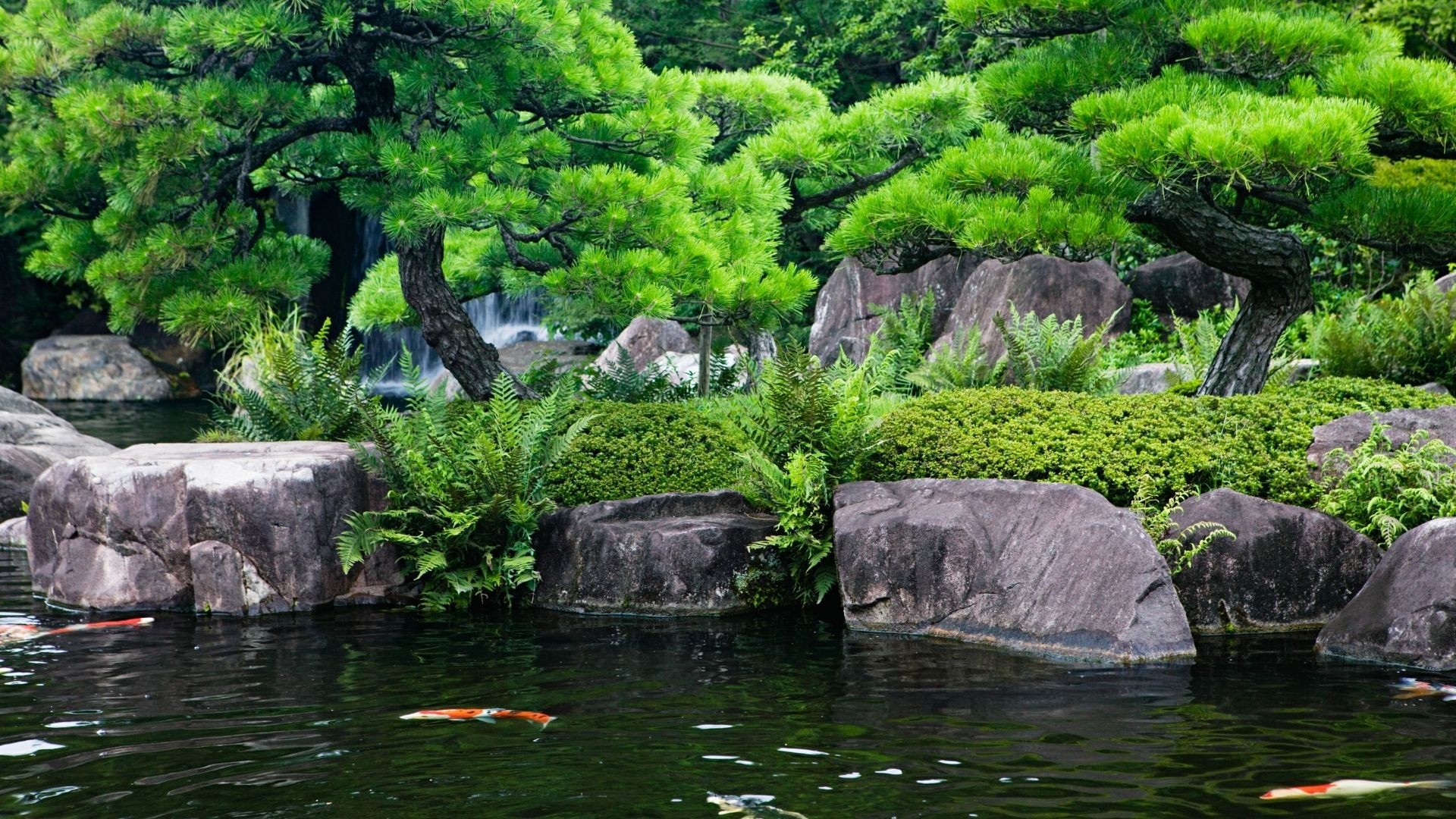 Jardim japoneses nos conectam com a vida (Foto: Reprodução / Verde Conecta )