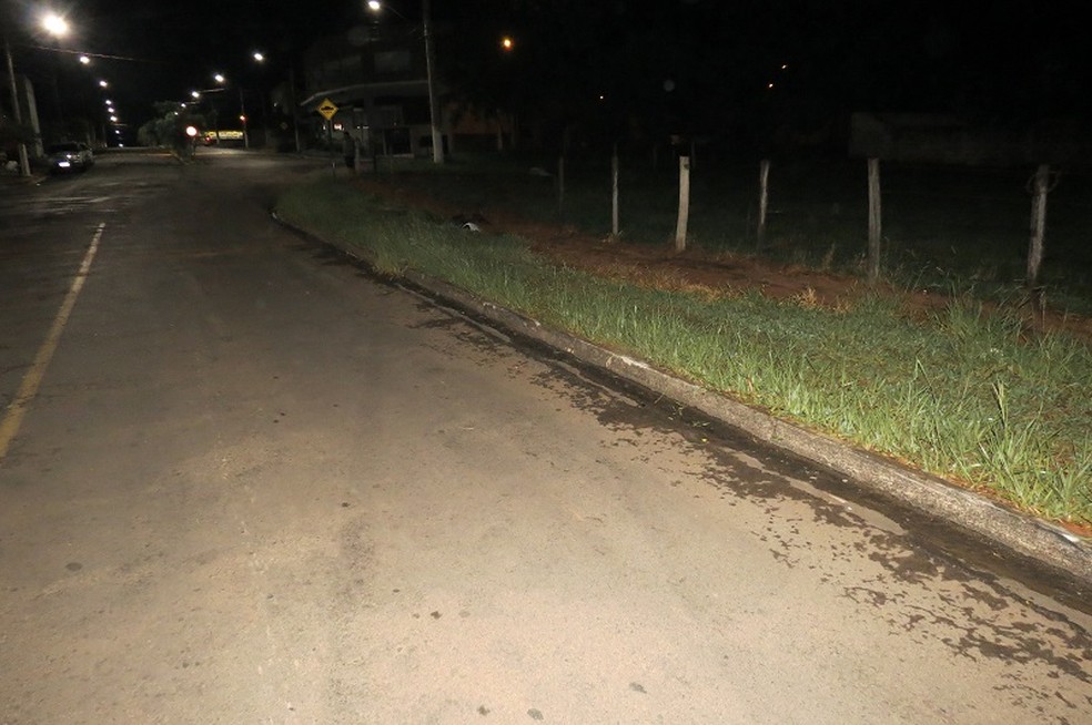 Boi é atropelado por carro em Dracena — Foto: Jorge Zanoni 
