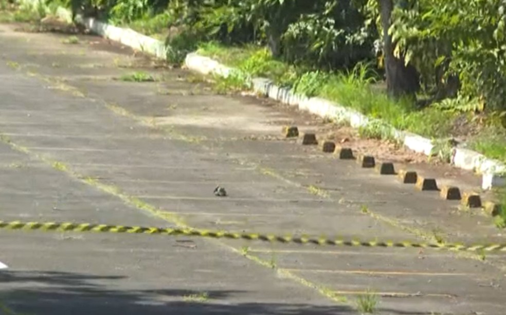 Artefato foi encontrado por agentes da Transalvador no terminal rodoviário da cidade — Foto: Reprodução/TV Bahia