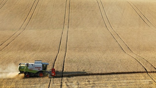 Preço do trigo sobe com possível interrupção de exportações da Rússia