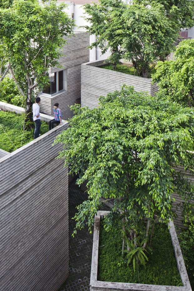 Arquitetura no meio das árvores (Foto: Hiroyuki Oki/Divulgação)