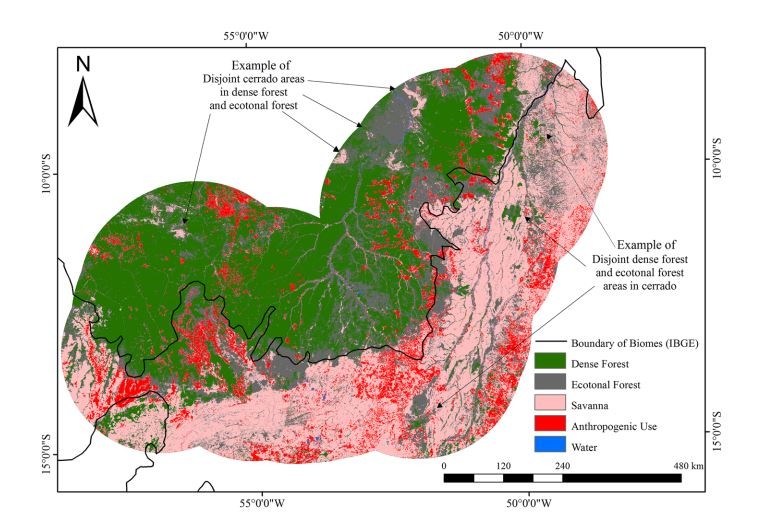 Estudo aponta que Amazônia é maior do que aparece no mapa e propõe reclassificação de biomas thumbnail