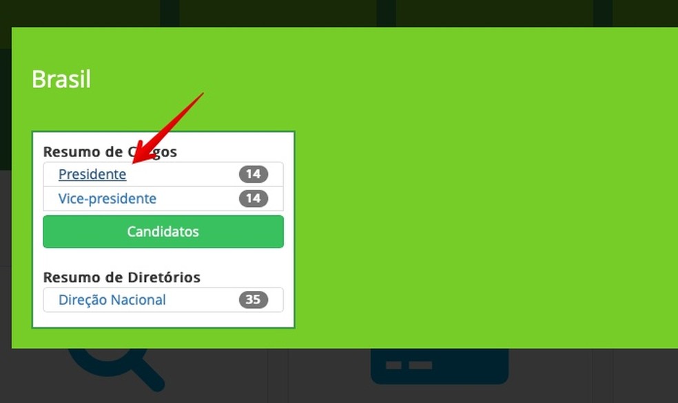 Consulte candidatos à presidência através do site do TSE — Foto: Reprodução/Helito Bijora