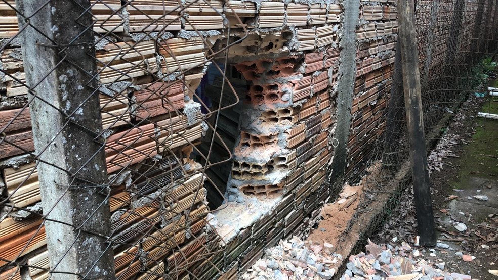 Criminosos fizeram um buraco na parede do depósito e carregaram um caminhão com inseticida — Foto: Diogo Nolasco/TV TEM