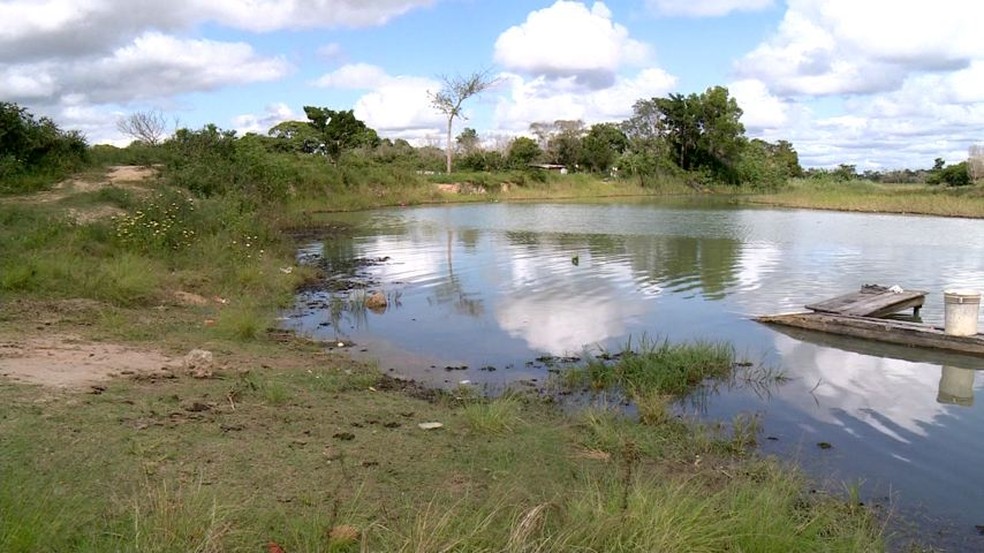 Parte do Rio Pequeno que o menino tentou atravessar, em Linhares (Foto: Reprodução/TV Gazeta)
