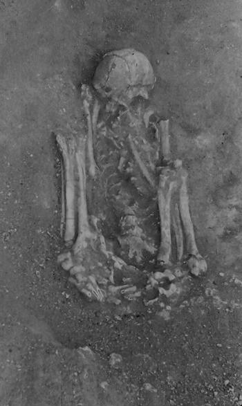 Esqueleto descoberto no Vale do Sado em Portugal (Foto: Rita Peyroteo-Stjerna et.al )
