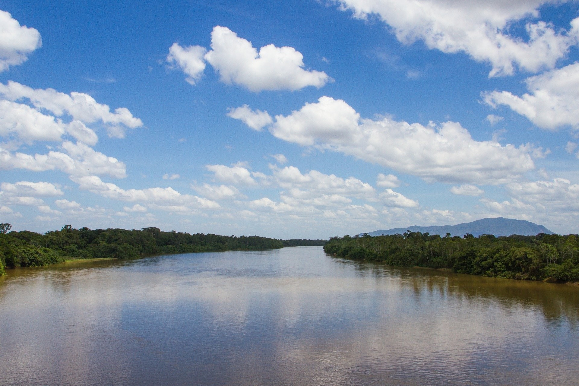 Amazônia brasileira  liberou mais carbono do que armazenou na última década (Foto: Pixabay/zeedoo)