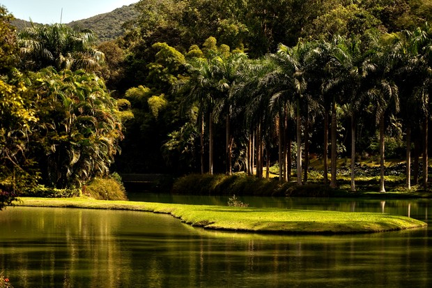 Garden, vegetation, Brazil, Inhotim, Brumadinho, green. (Foto: Getty Images)